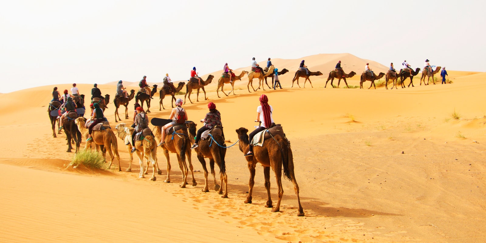 Agencia de viajes en Marruecos