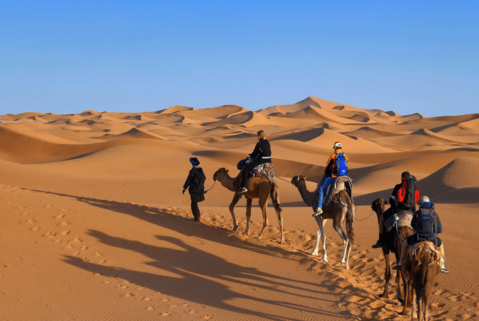 8 day tour from casablanca