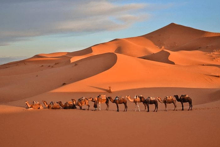 3 Noches Excursion en Camellos