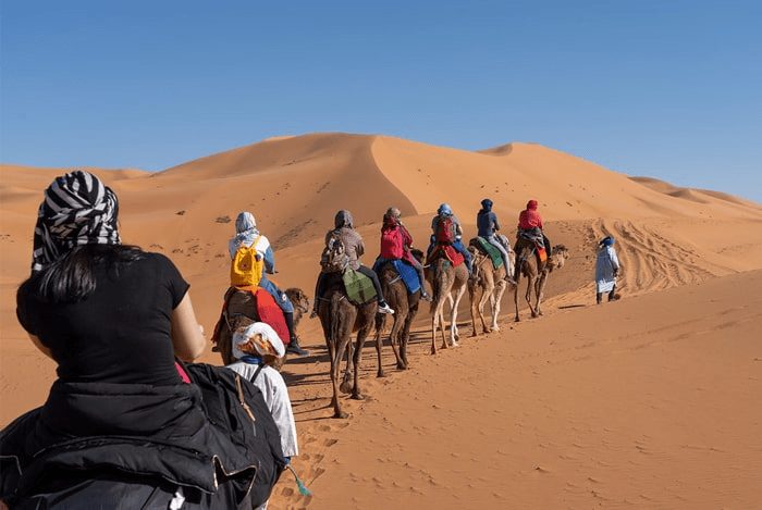 Dia y noche paseo en camello