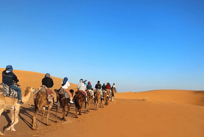 Sunset Camel Ride in Merzouga