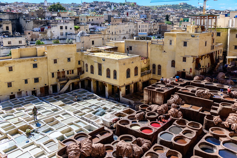 what to do in fes
