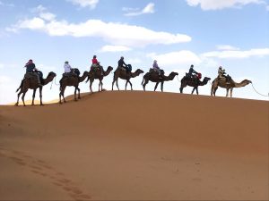 best things to do in Merzouga