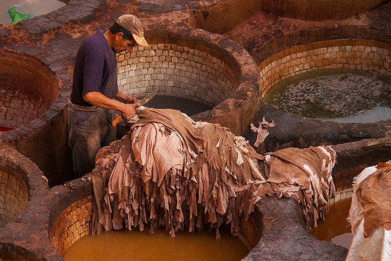 tannery morocco